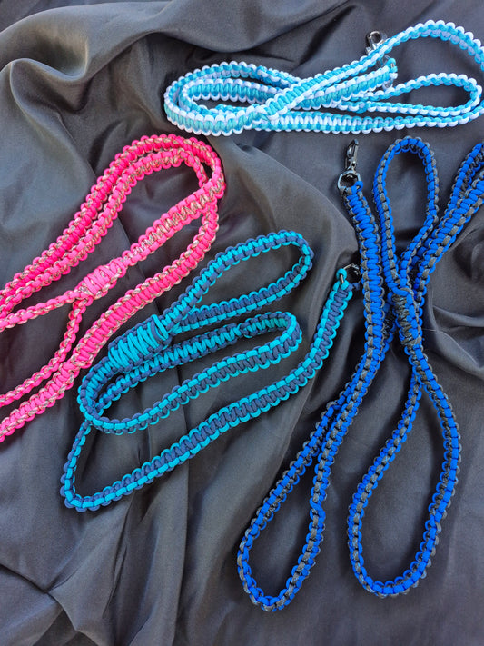 Paracord Leashes