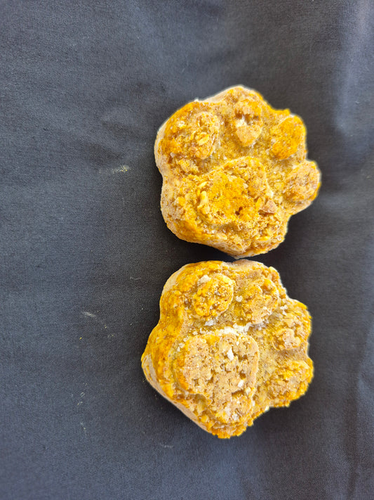 Pumpkin Paws